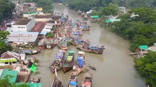 মধ্যরাত থেকে শুরু হচ্ছে ইলিশ শিকারে ২২ দিনের নিষেধাজ্ঞা